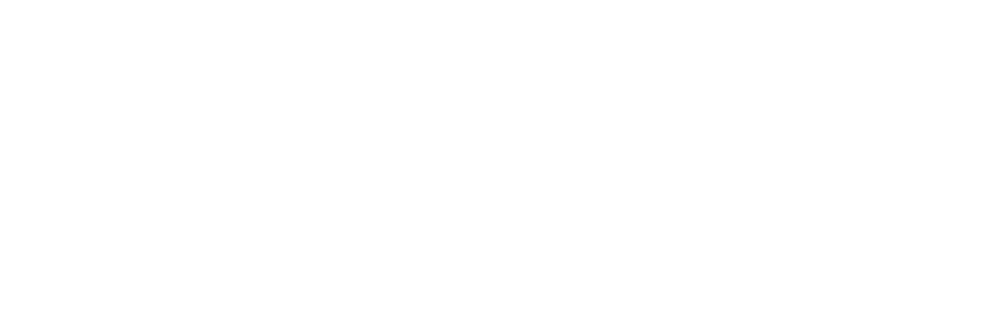 Boccus Group